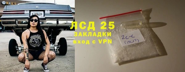 хмурый Арсеньев