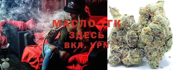 хмурый Арсеньев