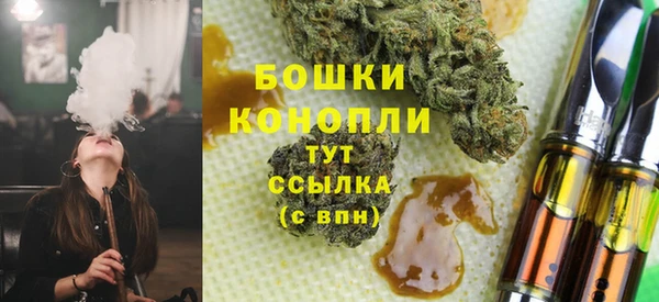 хмурый Арсеньев