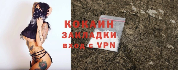 хмурый Арсеньев