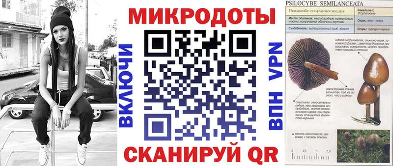 Псилоцибиновые грибы Psilocybine cubensis Бологое