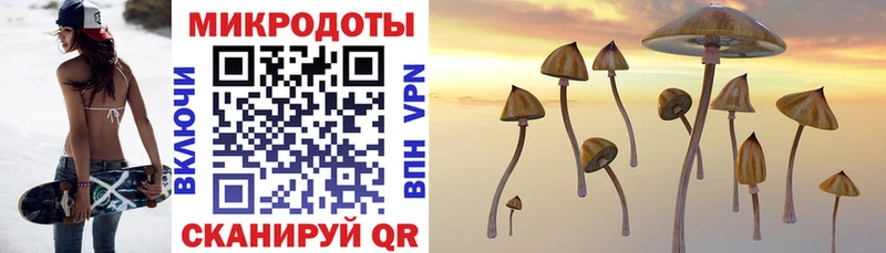 Купить  Бологое  Галлюциногенные грибы Magic Shrooms 